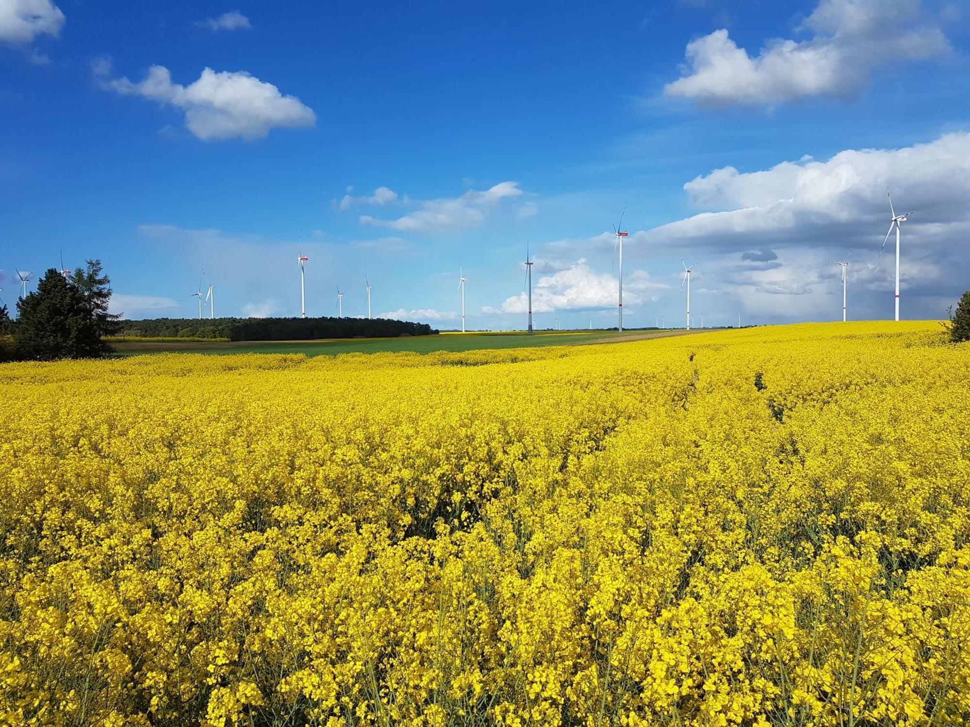 Ferienhaus Uckermark Casekow Zewnętrze zdjęcie