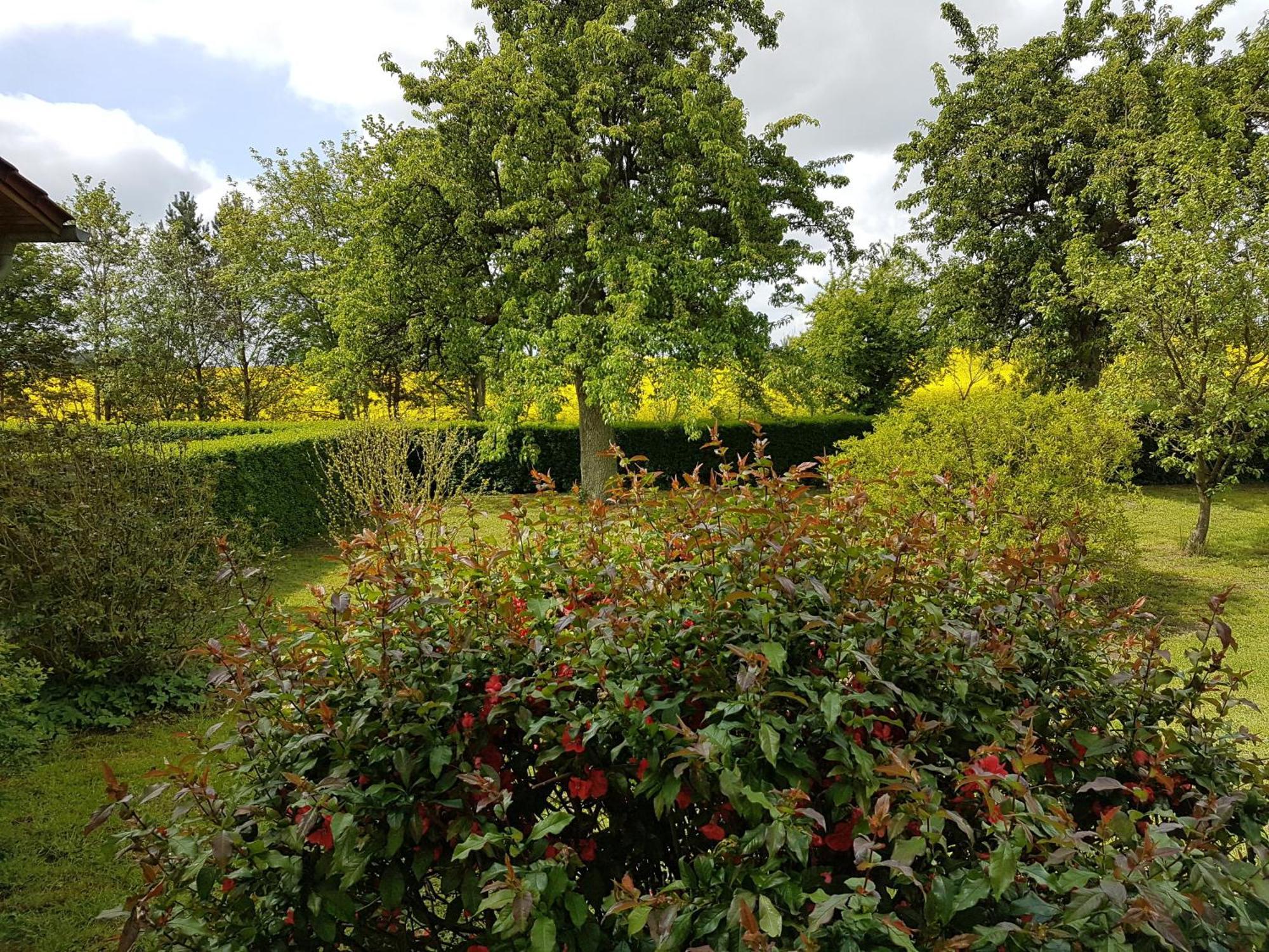 Ferienhaus Uckermark Casekow Zewnętrze zdjęcie